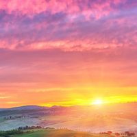 talent_img_url