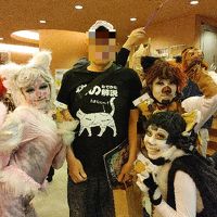 プロフィール