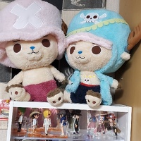 プロフィール