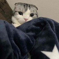 プロフィール