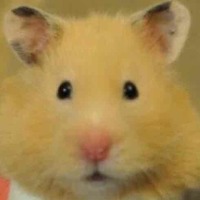 tiu