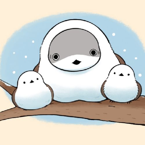 🦈こざめ🦈のプロフィール画像