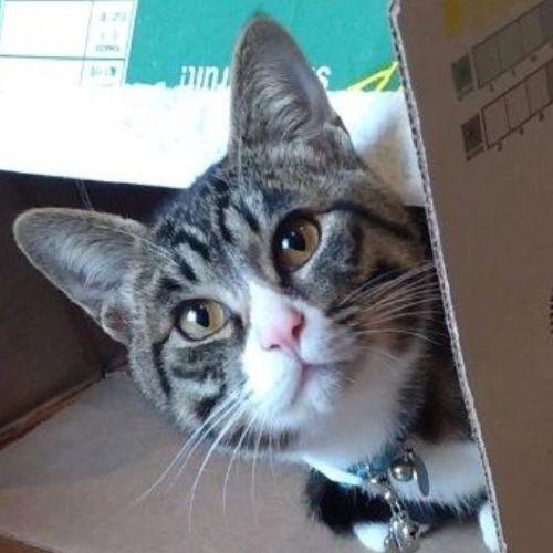 プロフィール写真