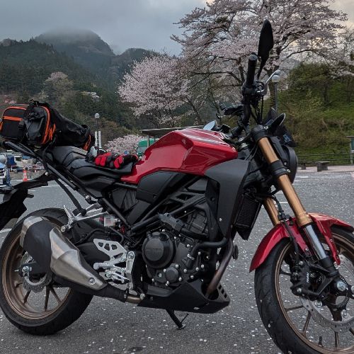 こまいぬのプロフィール画像