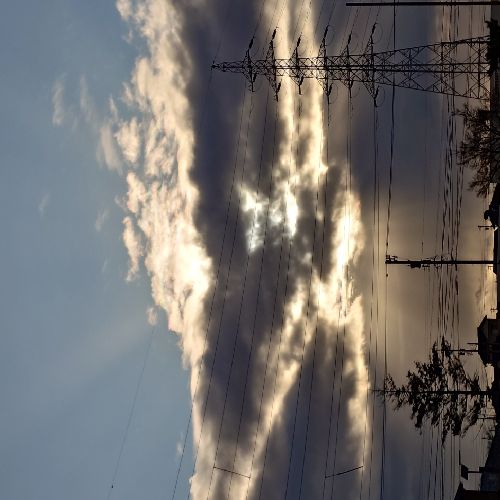 レグスペのプロフィール画像