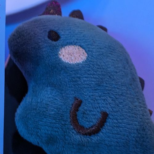 きーた🦕🪽のプロフィール画像