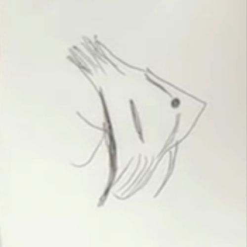 ぐるちゃんのプロフィール画像