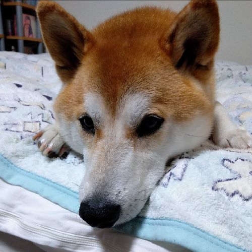 プロフィール写真