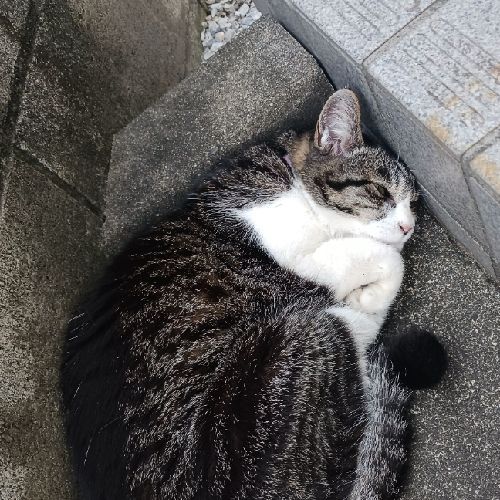タカキのプロフィール画像
