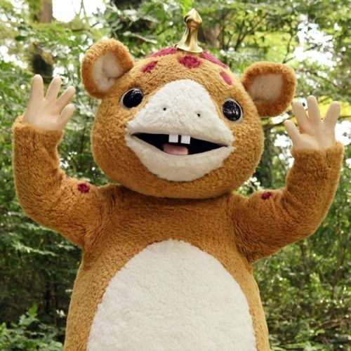 Kiyoto!!!のプロフィール画像