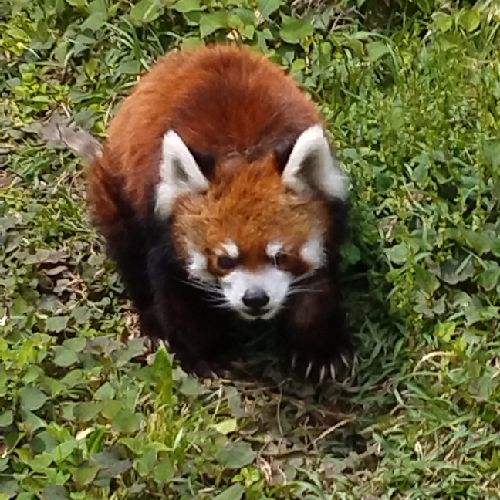 プロフィール写真