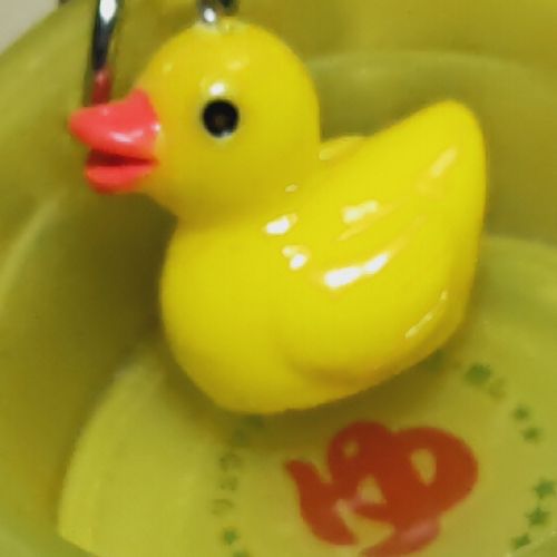 あひるのむぎんのプロフィール画像