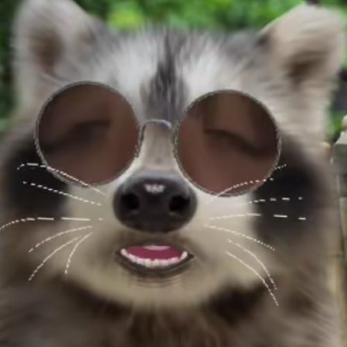 イカちゃんᔦꙬᔨのプロフィール画像