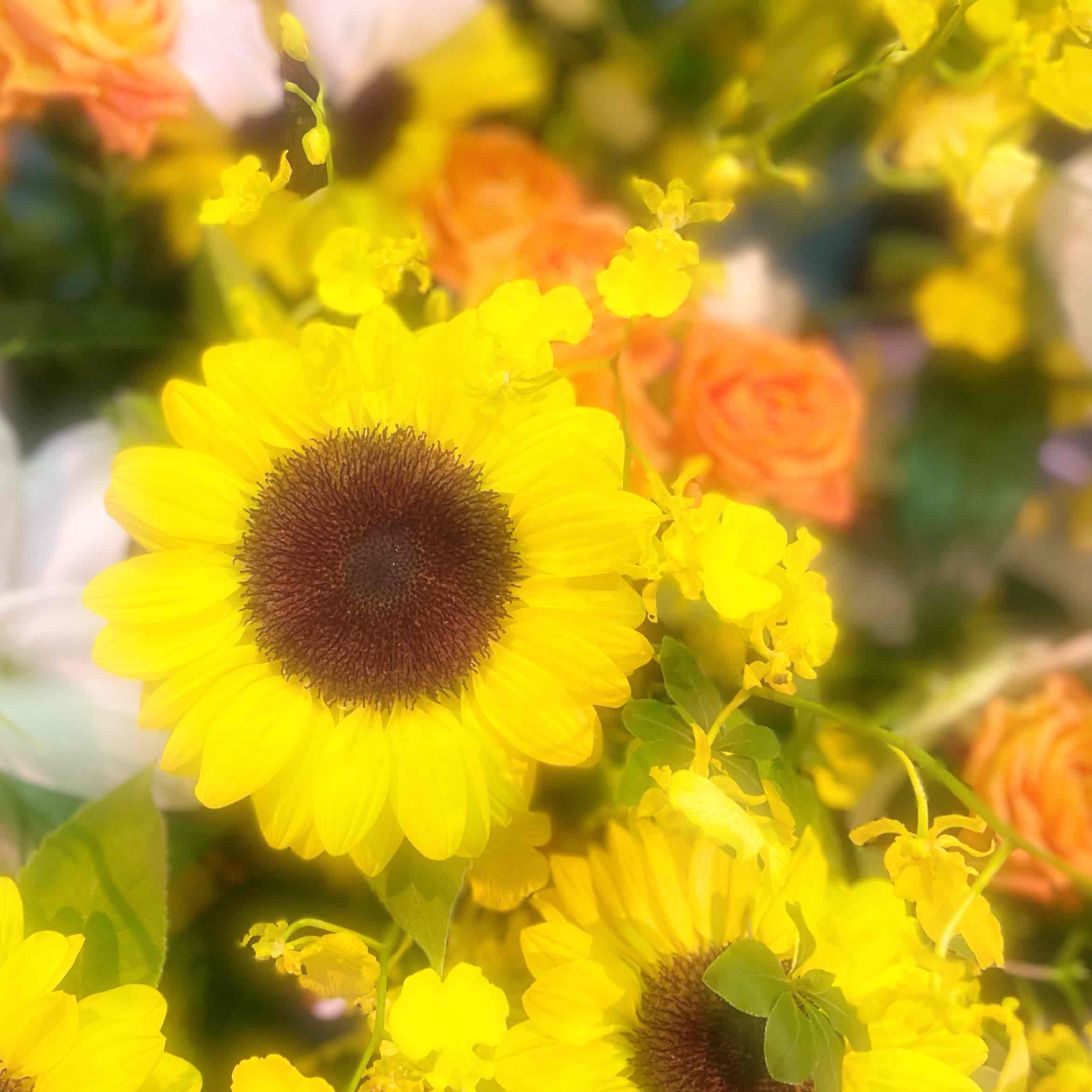 とものプロフィール画像