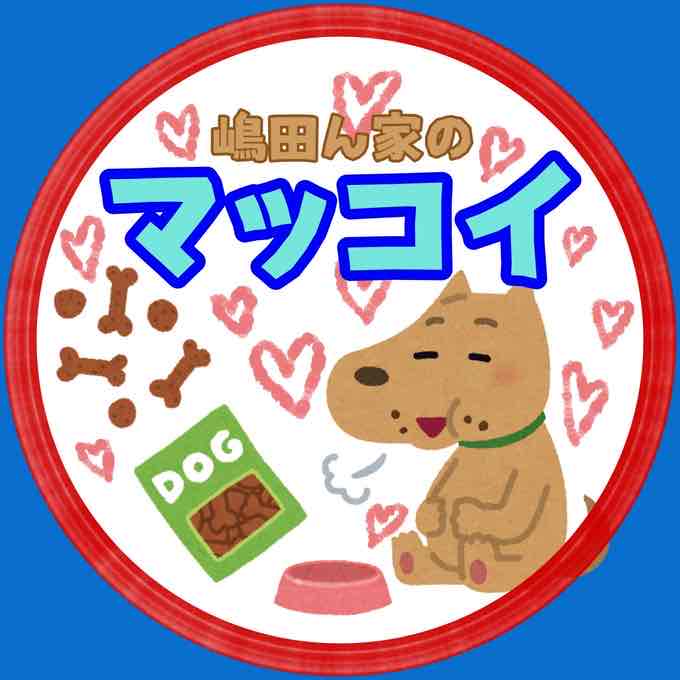 嶋田ん城のB型ISFP-T連勤術師マッコイ🦁3/5🎂のプロフィール画像