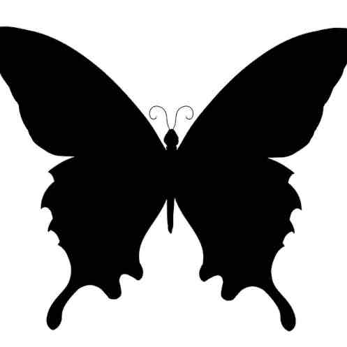vRank_img_url