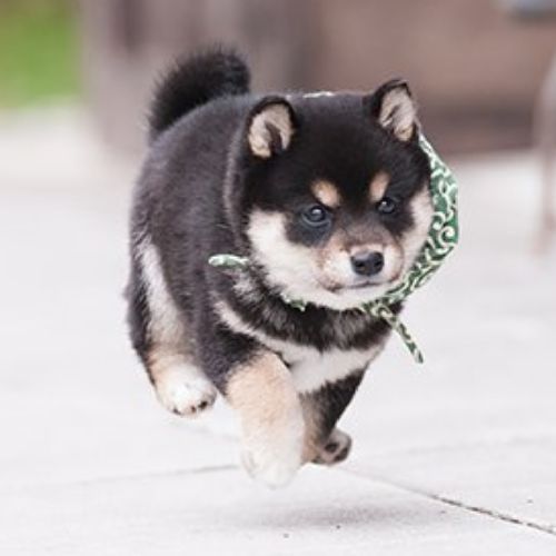 通りすがりのプロフィール画像
