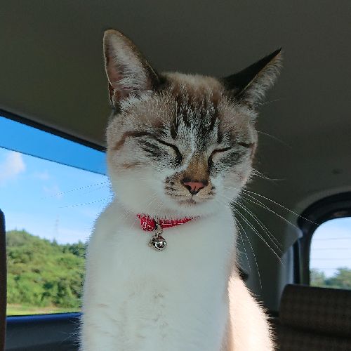 プロフィール写真
