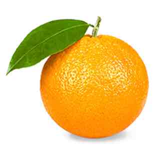 オレンジのプロフィール画像