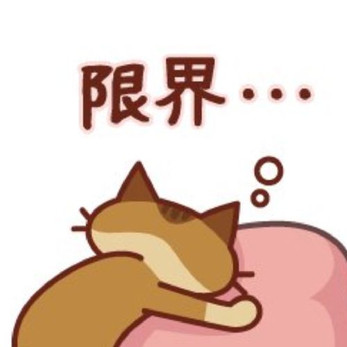 梅吉のプロフィール画像
